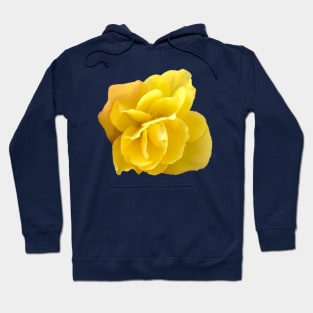 Yellow Double Begonia Close-up on Navy Background Hoodie